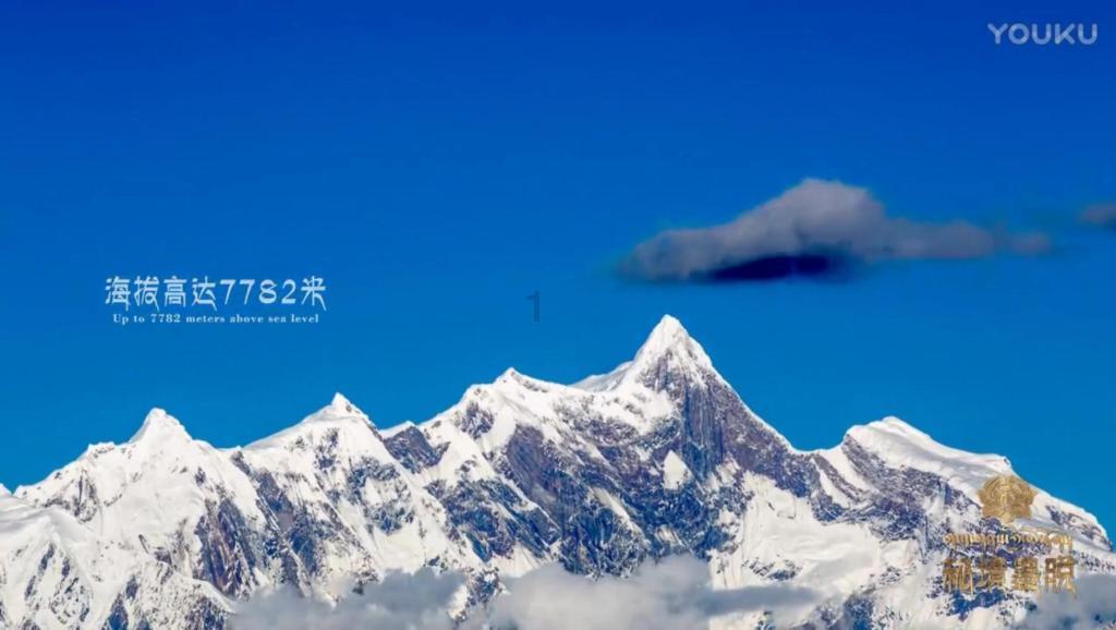熊出没百层大冒险