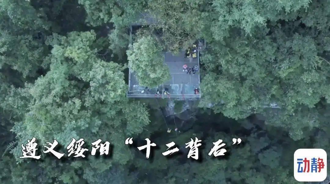 移动的靶心5无敌版