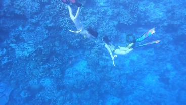 山西省人大代表王超：建议将平遥古城作为文旅产业发展的“一号门户”