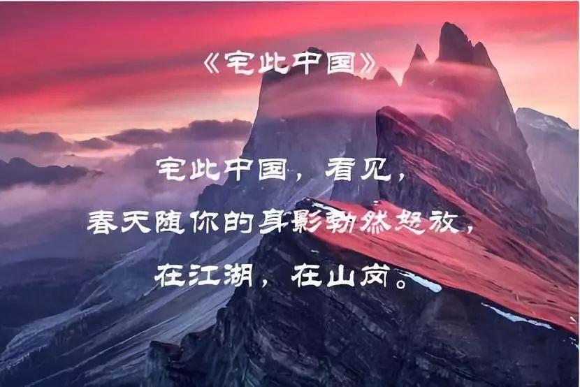 宠物世界聚会