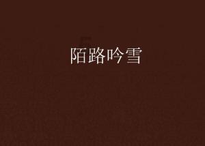 观察者