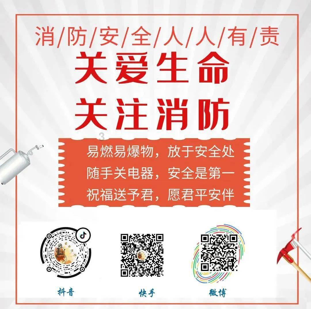 小猫钓鱼游戏龙王版有船