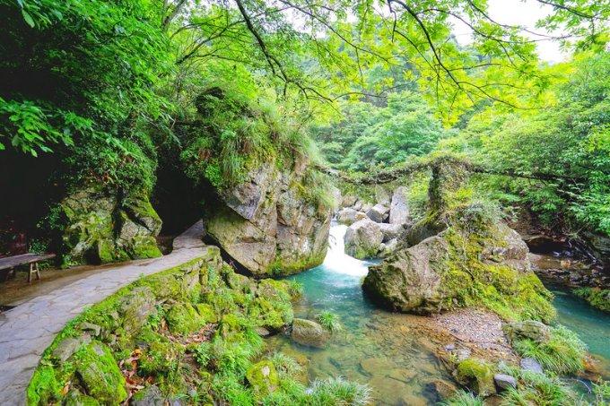 沙漠中寻宝