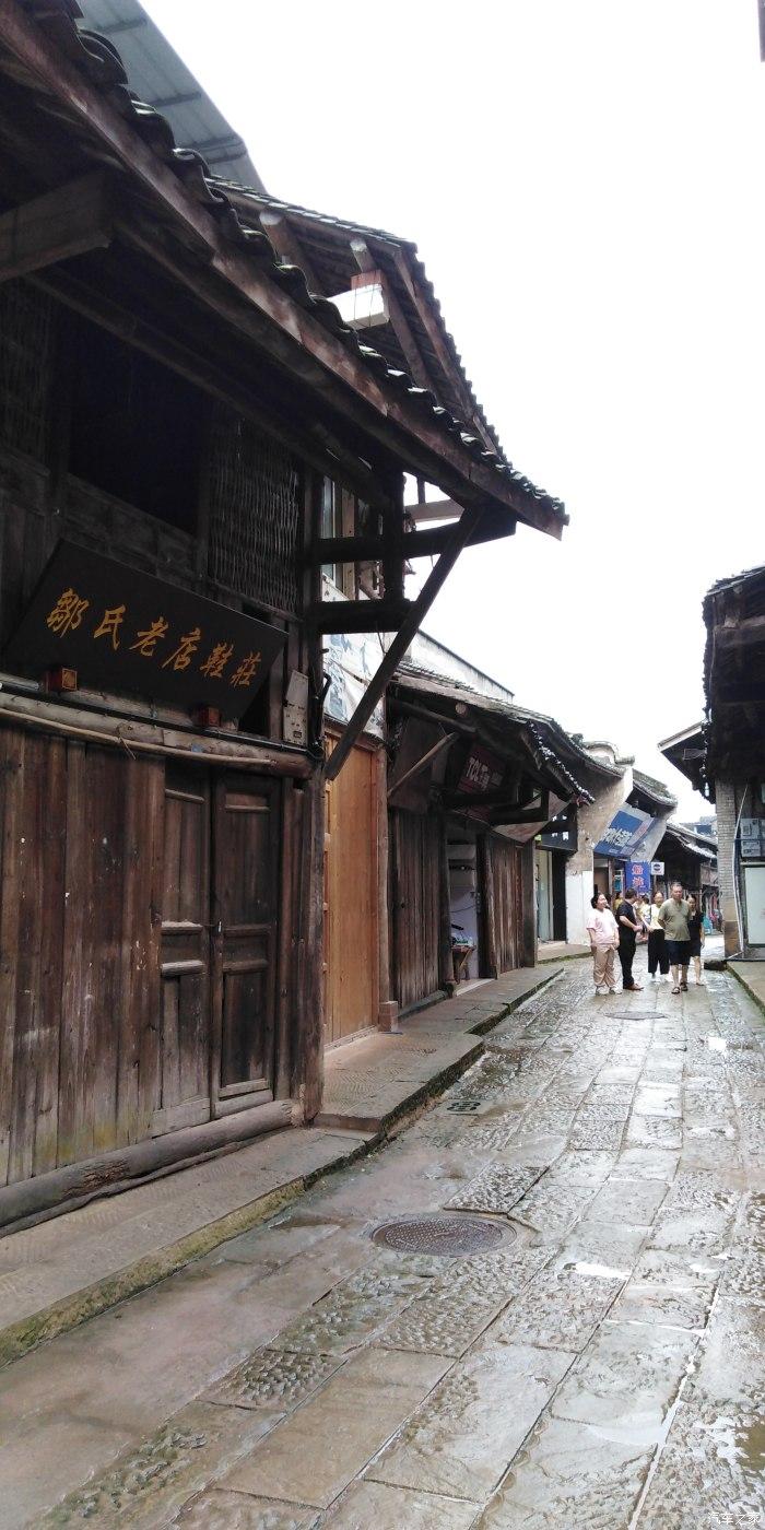 热闹非凡!福州铁路花木基地迎春花市开启 品种多样吸引市民购买