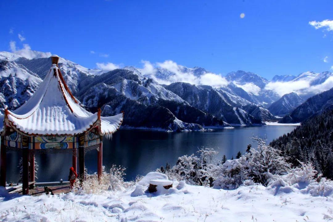 首届杭州市青少年阳光成长心理健康公益项目大赛顺利举行!